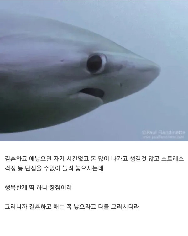 결혼한 선배들이 공통적으로 하는 말이