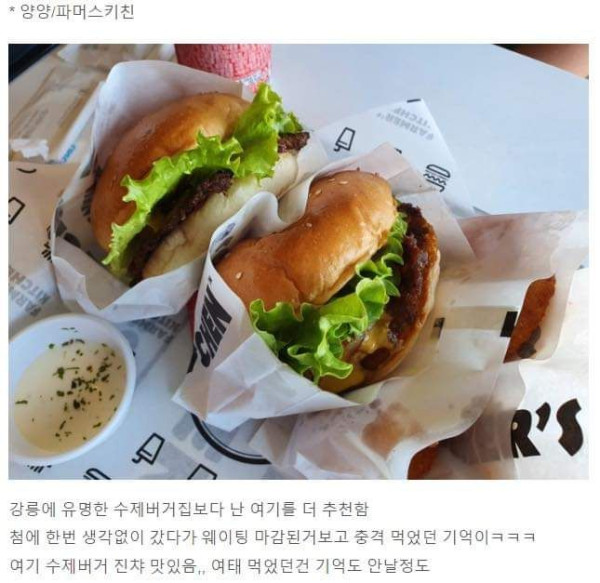 내돈내산 강원도 맛집 모음