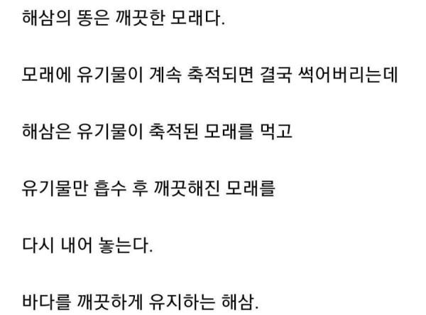 해삼 똥 싸는 장면