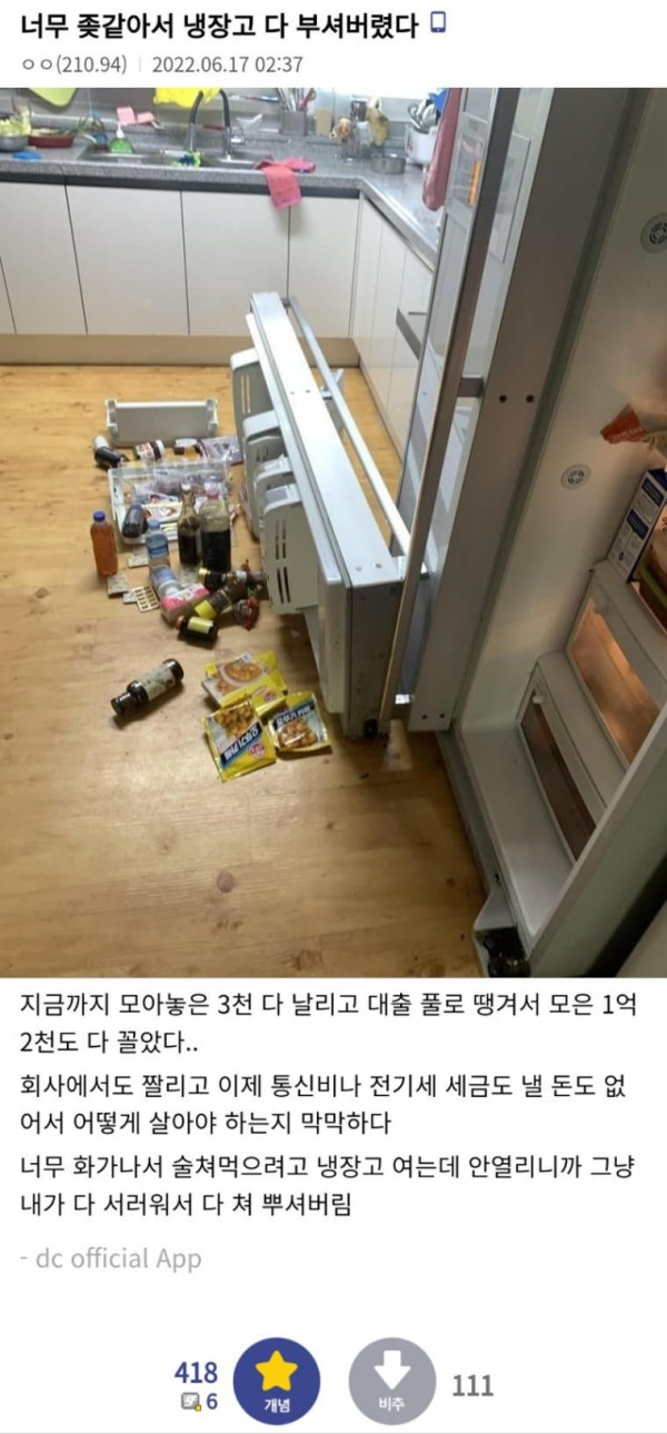 냉장고 문짝 부셨다는 코인갤러